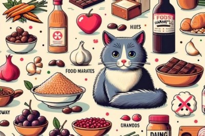 Kedisi olanlar bu yiyeceklere dikkat etmeli! İşte kediler için zararlı 8 yiyecek